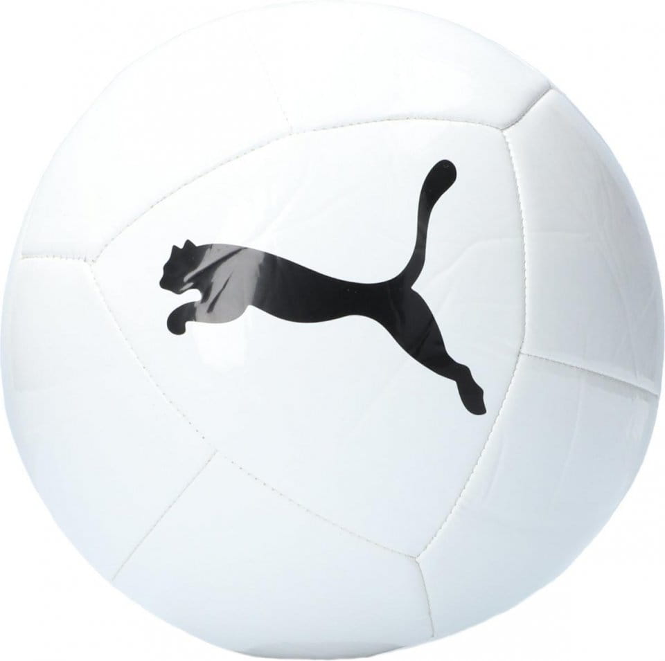 Fotbalový tréninkový míč Puma Icon