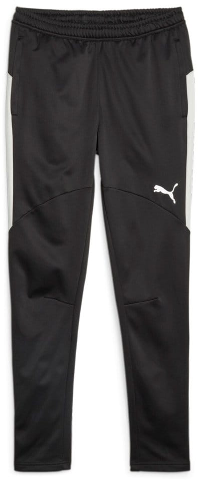 Pánské zimní fotbalové kalhoty Puma individual Winterized