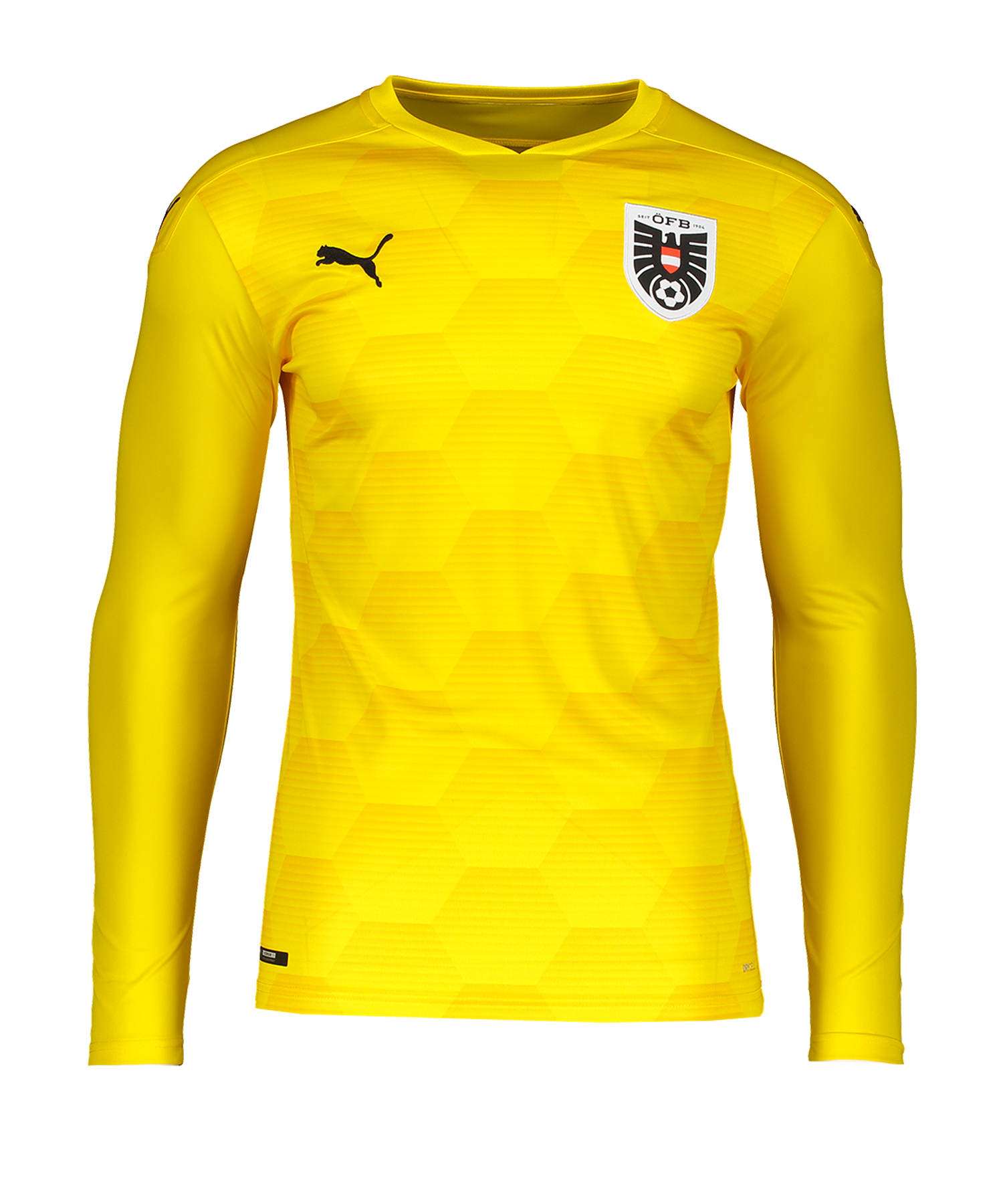 Pánský brankářský dres s dlouhým rukávem Puma Rakousko EM 2020